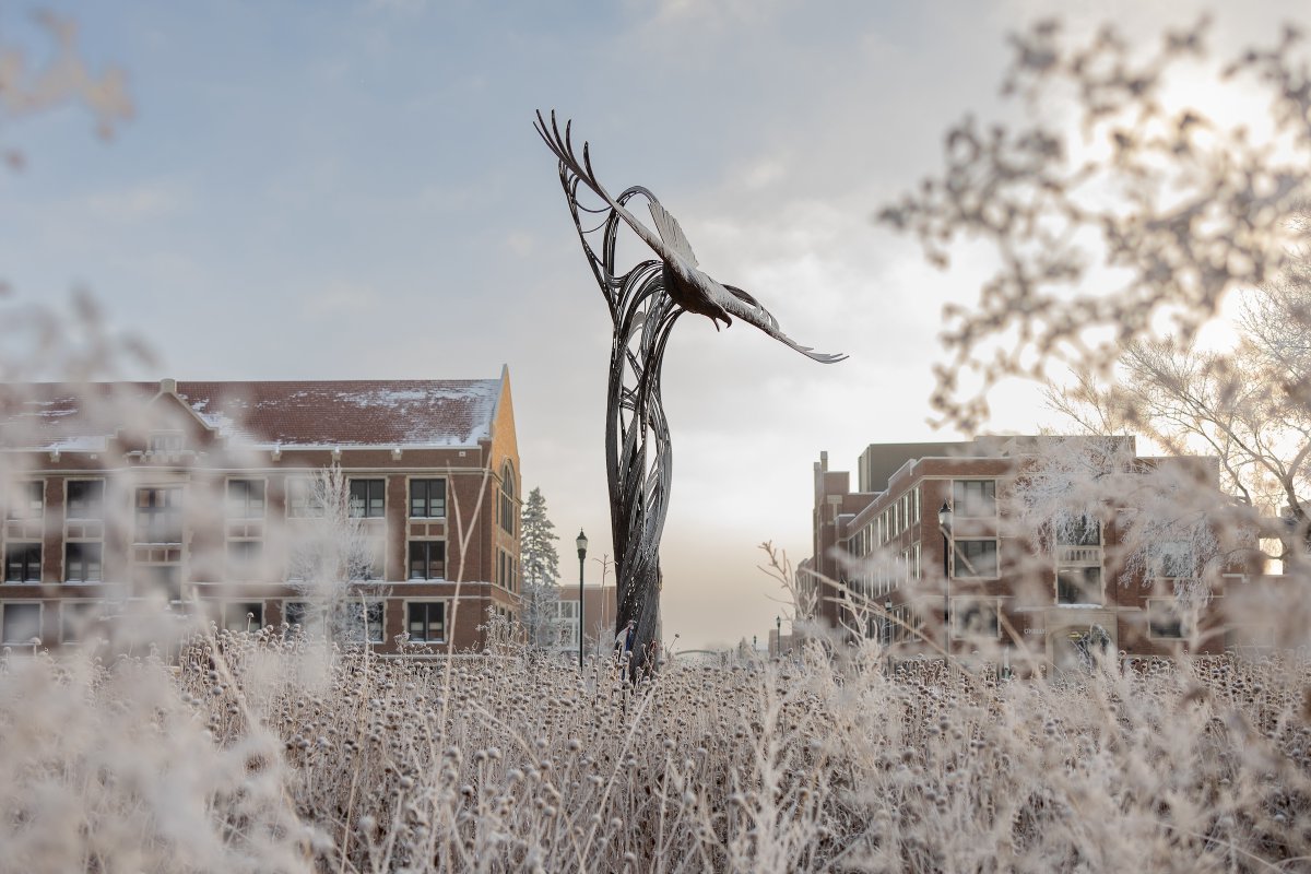 UofNorthDakota's tweet photo. Snowflakes, frost, and fresh beginnings — UND is ready for an unforgettable year. ❄️
#UNDproud #campus #CaptureND https://t.co/KuOp9G0AQX