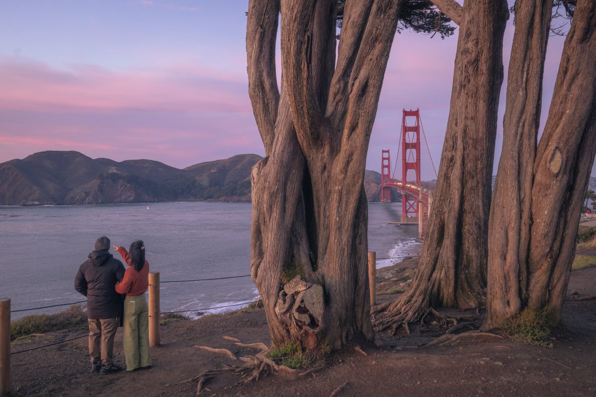 Cody Mayer tweet media