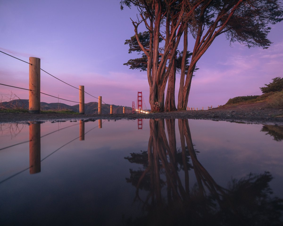 Cody Mayer tweet media