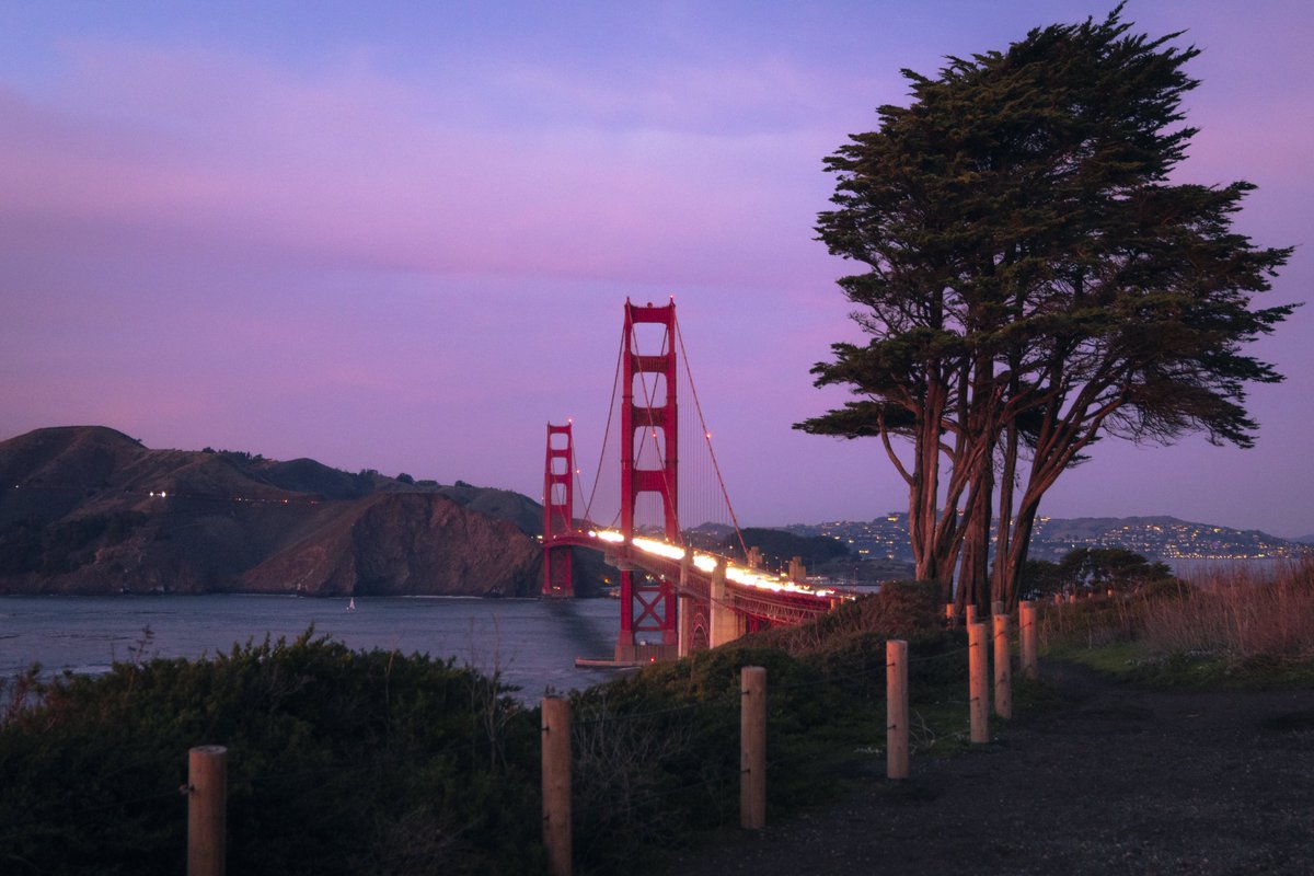 Cody Mayer tweet media