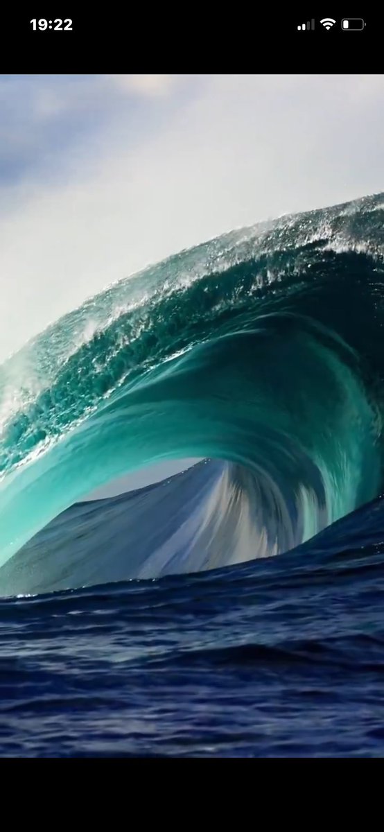 Patrick Harkness tweet media