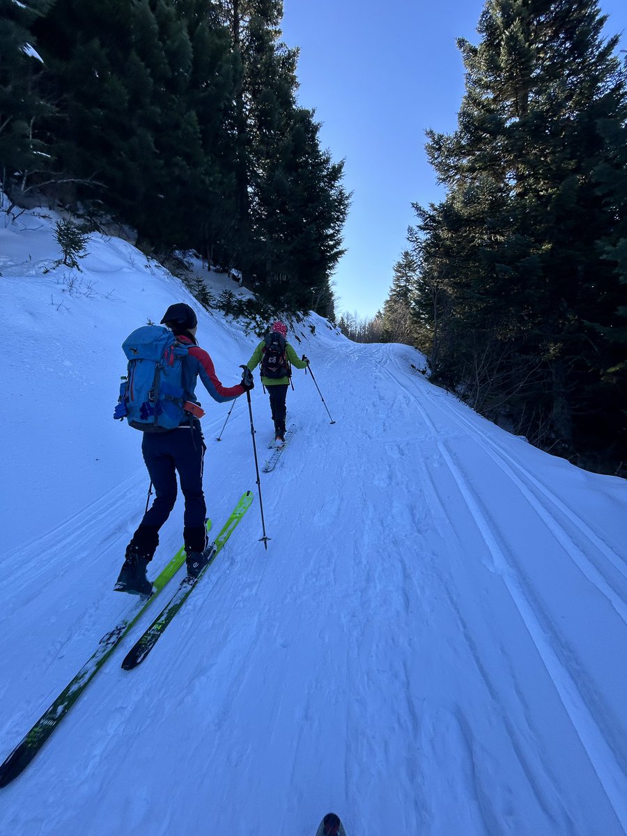 vicebasap's tweet image. 🏔️