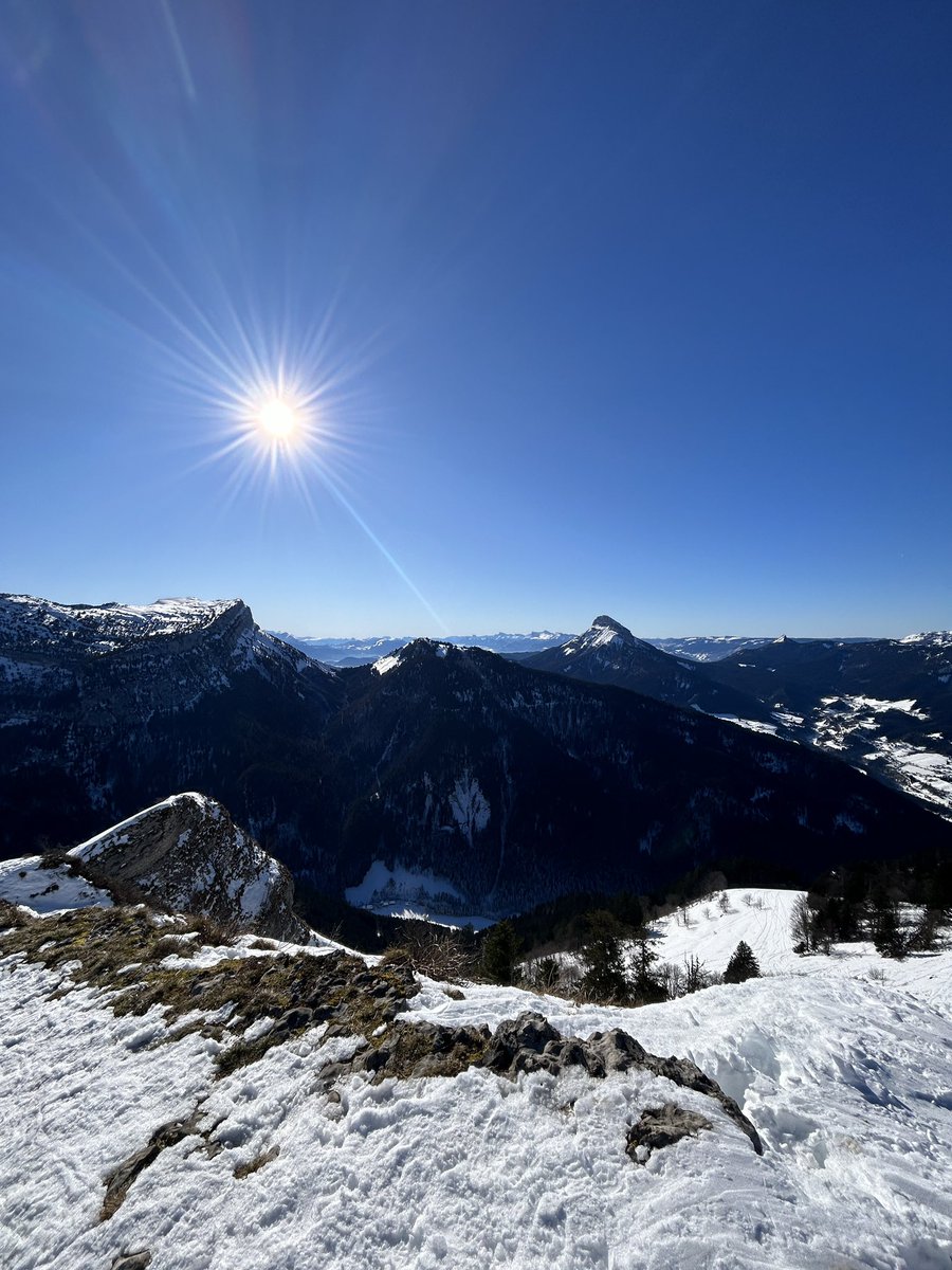 vicebasap's tweet image. 🏔️