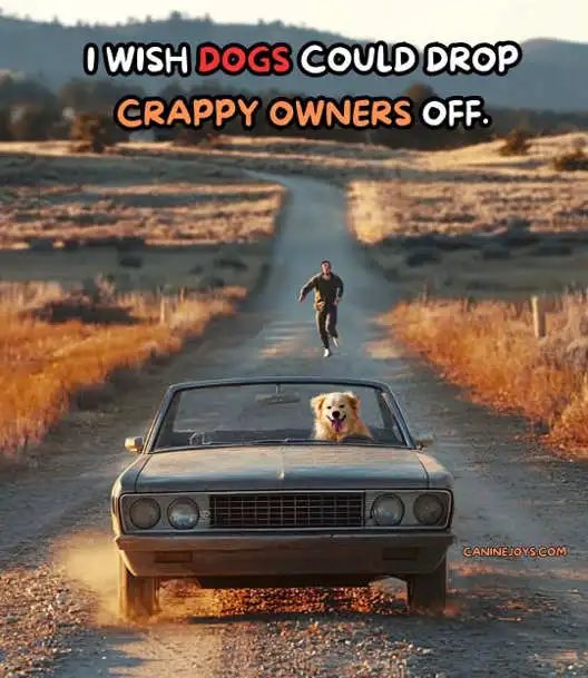 [Image: GgT7AX7XMAALxVG?format=jpg&name=small]