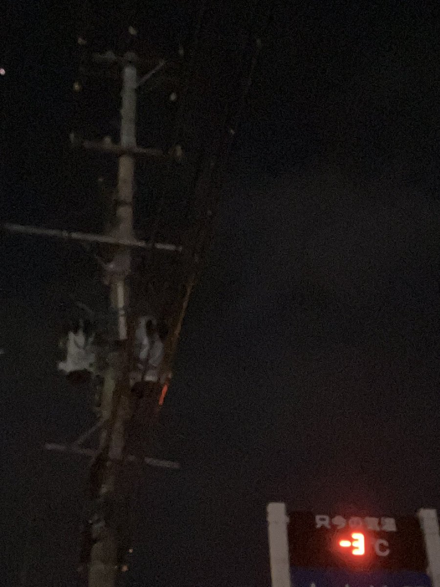 yorozuspeed462's tweet image. おはようございます(喪中)
ヘタレ🫀強化計画
11.1kmラン7km
−3℃ 🌌冬靴👟
癒着痛😖

🏃ランの🎧音友
#百姓貴族 ed
#FRAM さんの
#シアン・イノセンス 
youtu.be/57tAF6kuhVo?si…

めっちゃ平和なショートアニメ😊👍
#荒川弘 さんCV #田村睦心 さんがどうしても #小林さん なのです😅

#今空
#イマソラ