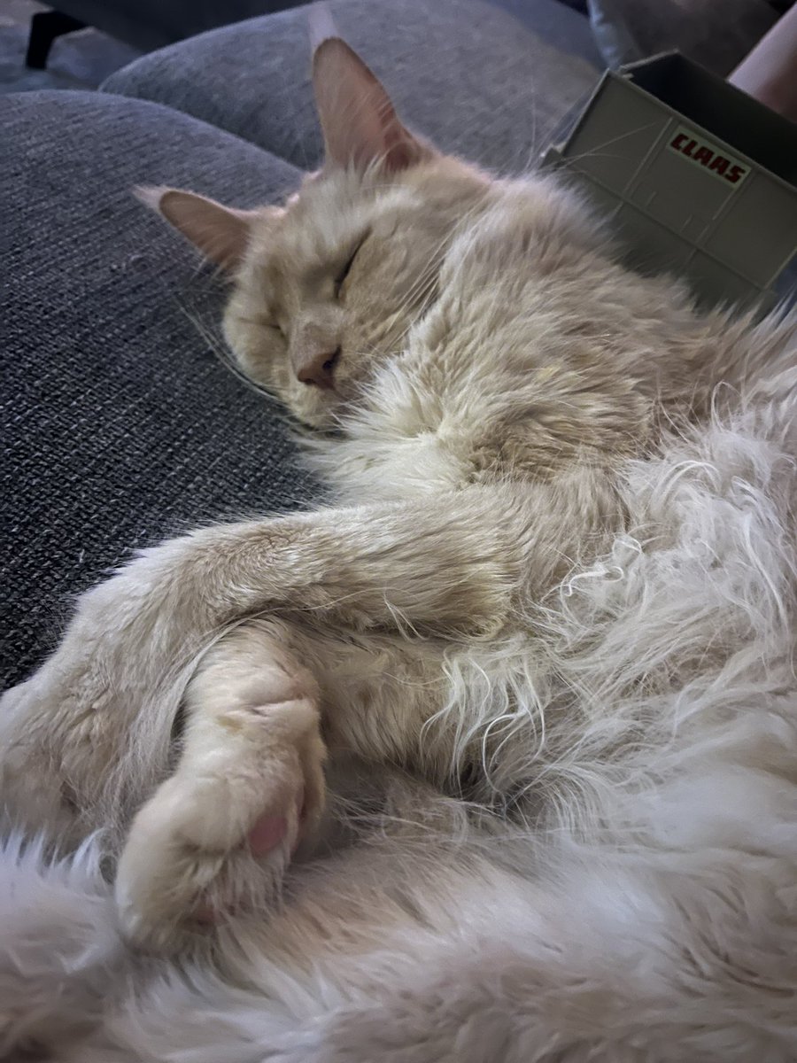 Zo moe van al die feestdagen!! 😴😴😴