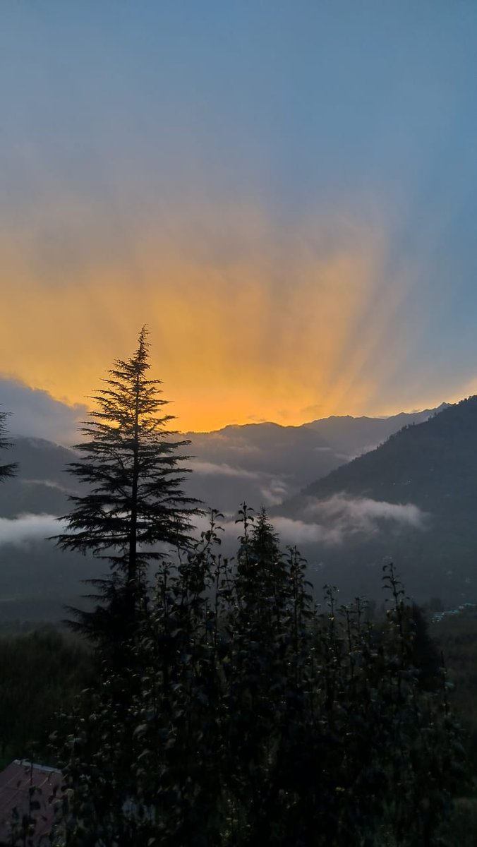 Esha Lal tweet media