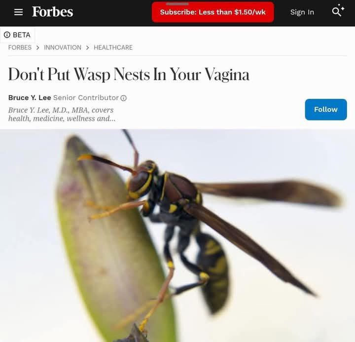 entomemeology's tweet image. Please don’t 

#entomemeology #entomology #wasps