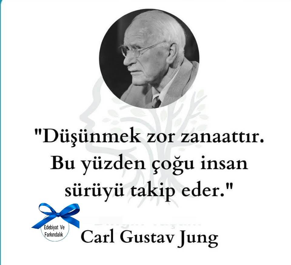 CKokkurtoz's tweet photo. @BelovacSerap https://t.co/n00u5KwKEU