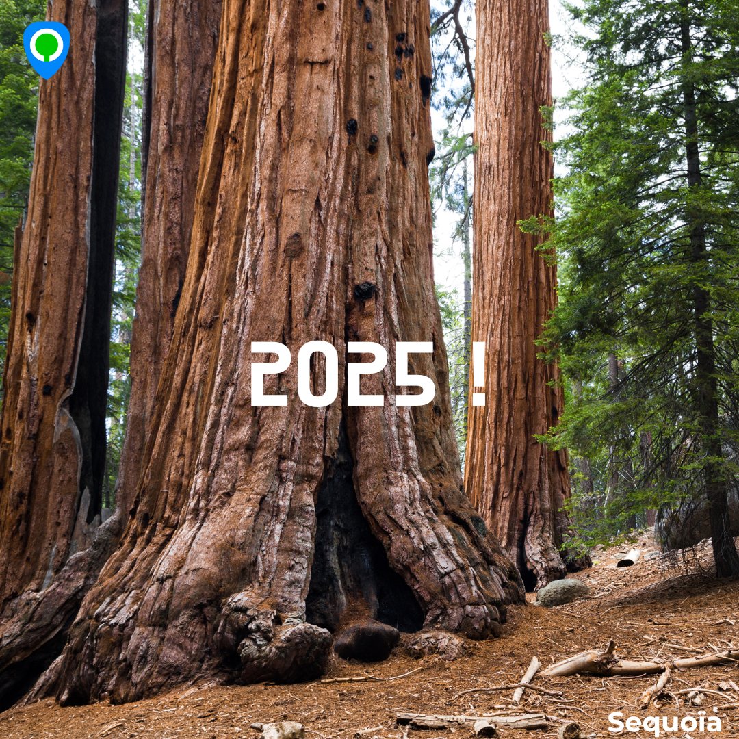 🌟 Les arbres apaisent selon des études scientifiques.
  
Si vous n’en croisez pas un tout de suite, Qui Veut Rafraîchir Sa Ville ? vous offre ces quelques images. 📸

Belle et bonne année de la part de toute l’équipe de Qui Veut Rafraichir Sa Ville ? !🌍