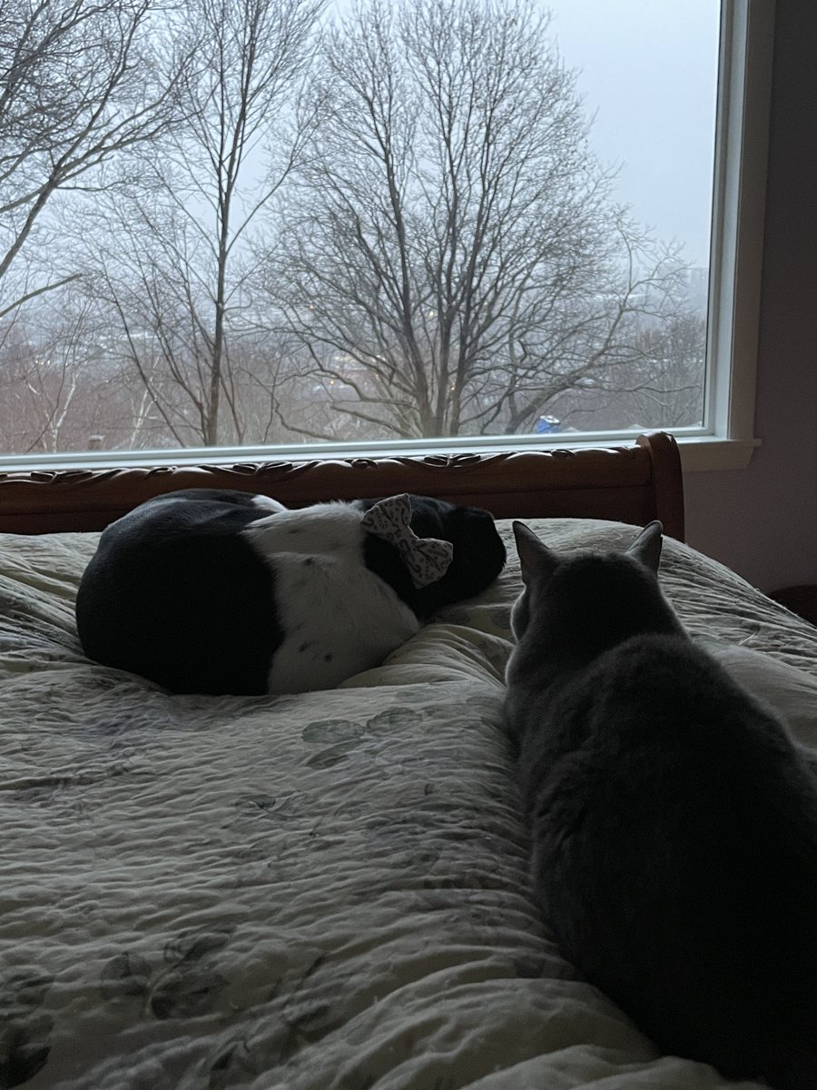 My happy view every morning. 😊😊