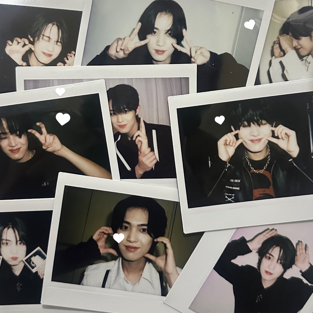 봄 tweet media