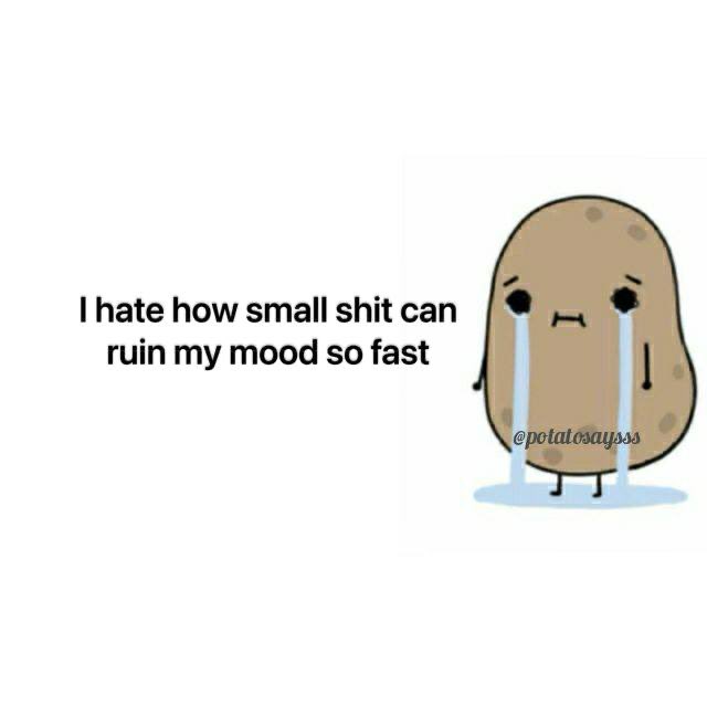 potatosaysss's tweet image. 