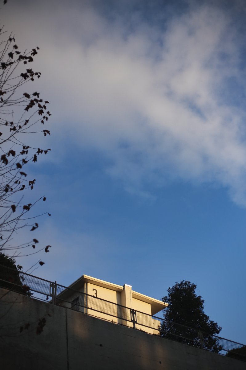 slhd_lab's tweet image. 例年より暖かい気がする #EOS6D