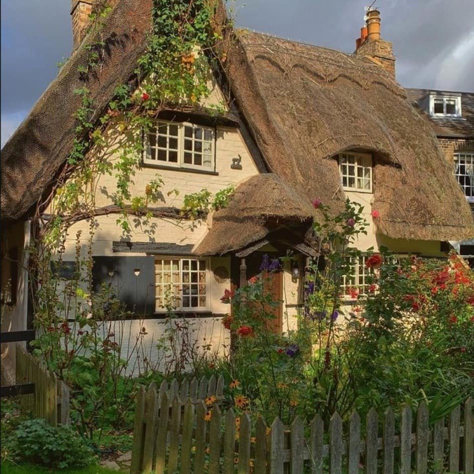 artindetails's tweet image. nature heals everything.