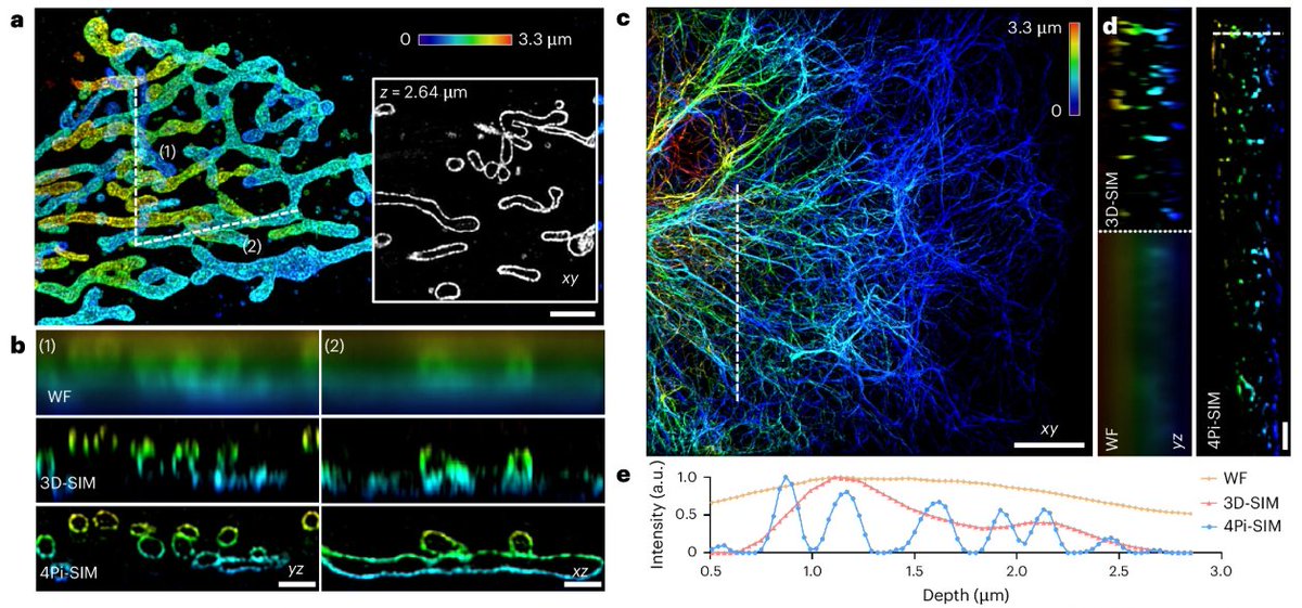 We missed tweeting this amazing paper from the Chen, Fan, Huang, and Zhang labs over the holiday break, but please check out this amazing super-resolution microscopy paper describing 4Pi-SIM!! nature.com/articles/s4159…