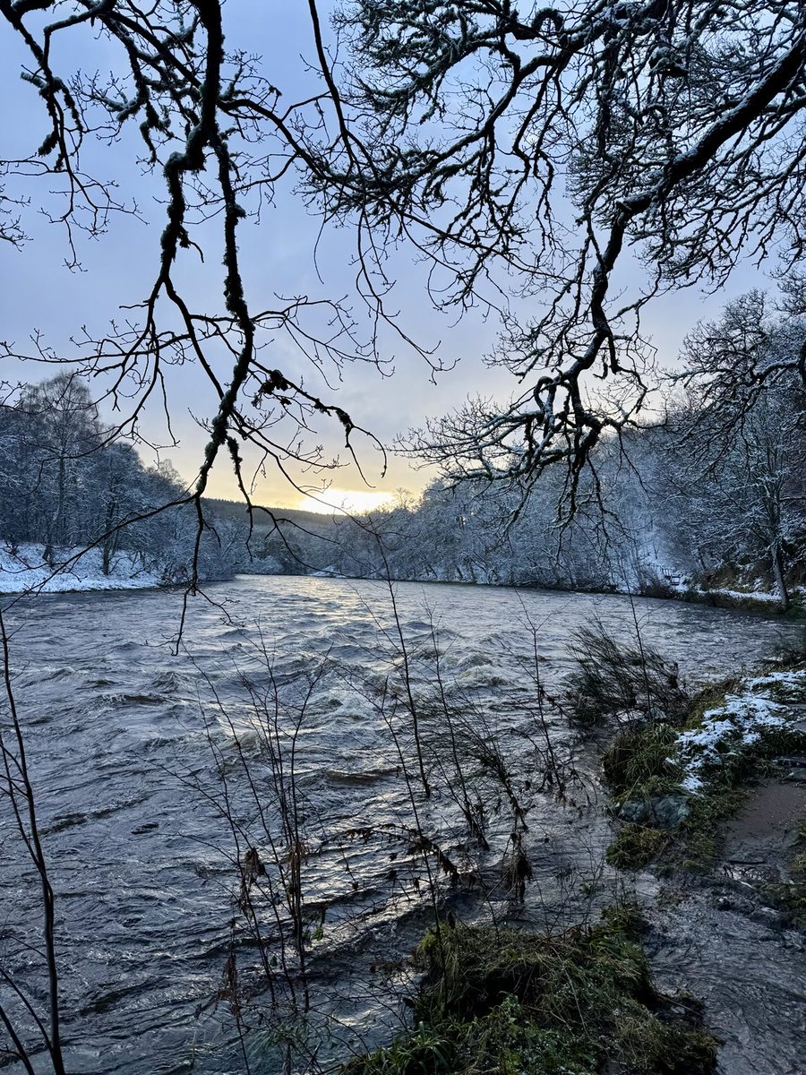 River Spey on a snowy January day 🏞️❄️