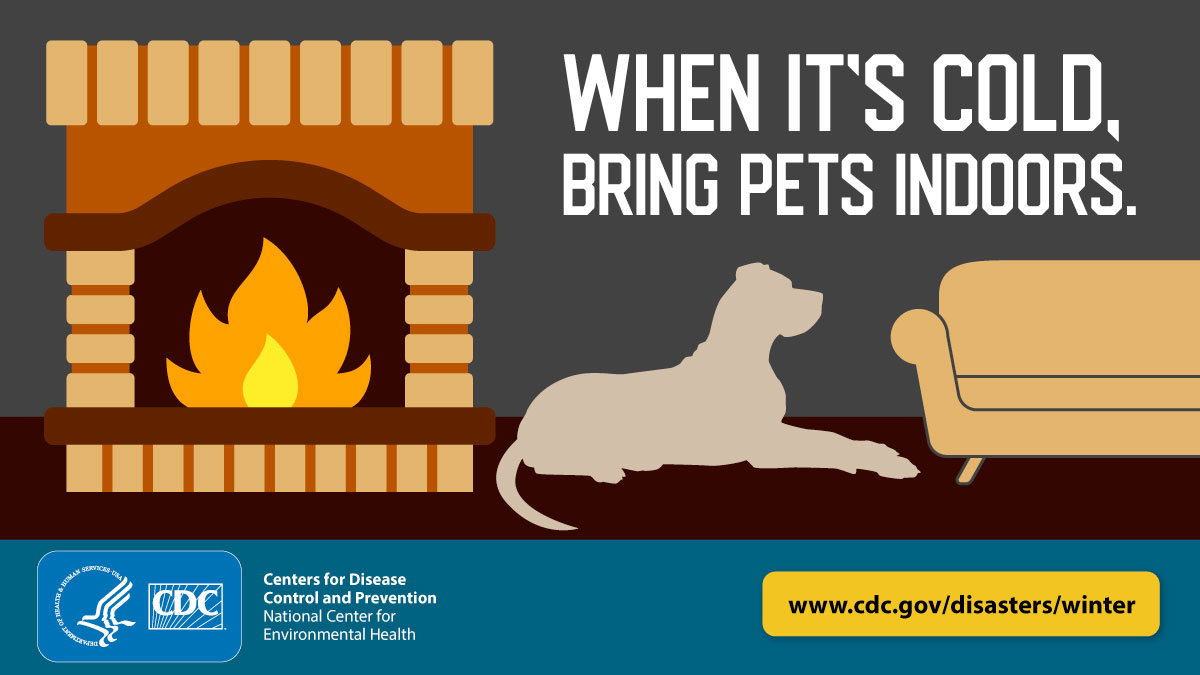 MI Prepares tweet media