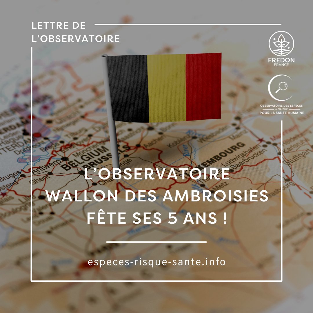 🎉 Félicitations à l’Observatoire wallon des ambroisies pour 5 ans d’actions contre cette plante allergisante ! 🌱

👏 Un bel exemple de lutte pour protéger santé et biodiversité. 👉especes-risque-sante.info/lobservatoire-…