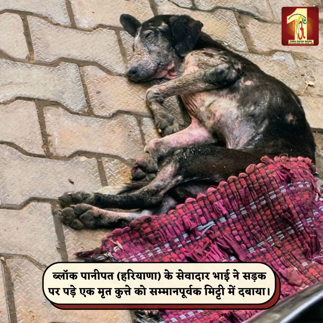 True kindness is when you give without expecting anything in return.
Volunteers from Panipat showed this spirit by picking and burying a deceased dog with dignity, ensuring road safety for all. Their compassion makes the world better. 

 #DeraSachaSauda #AnimalWelfare