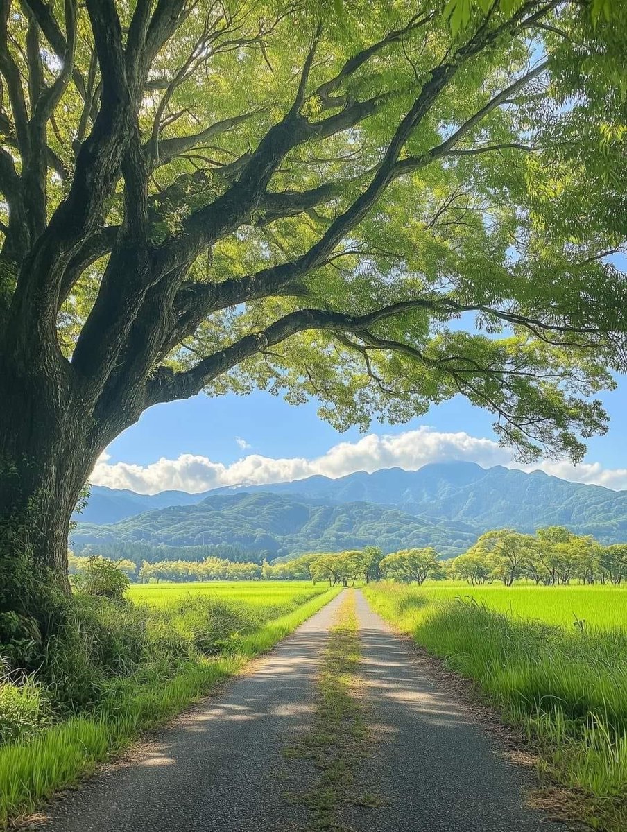 greenvibe's tweet photo. https://t.co/uonaLiMrmX