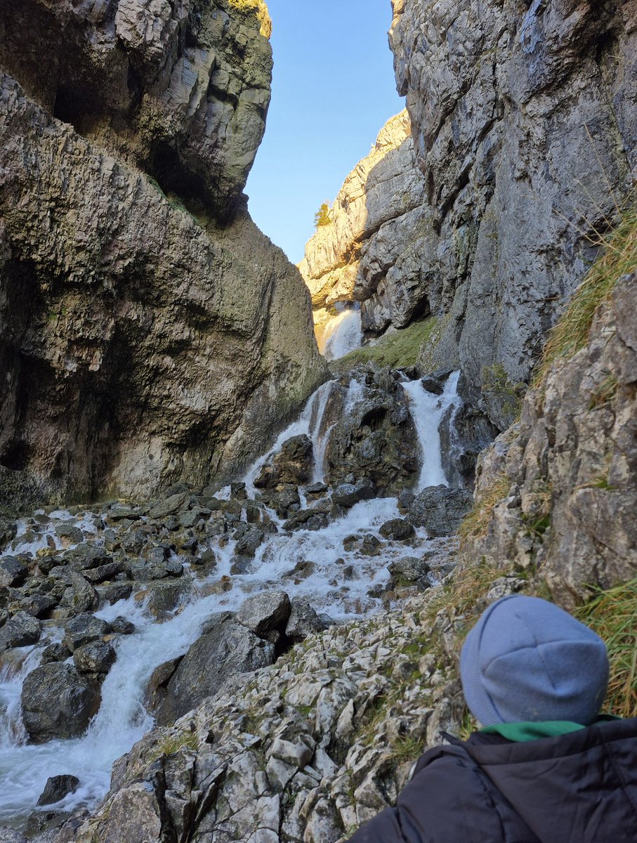 David K Smith tweet media