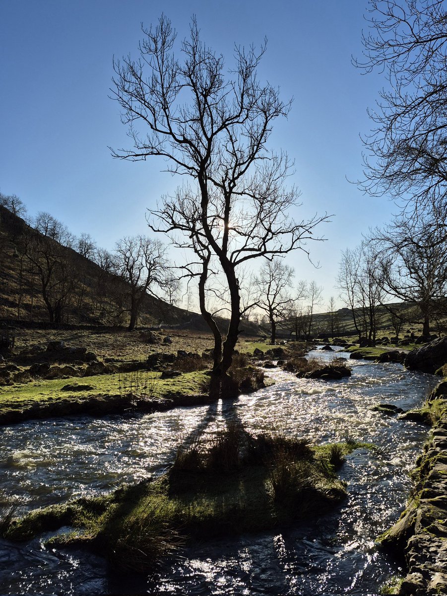 David K Smith tweet media