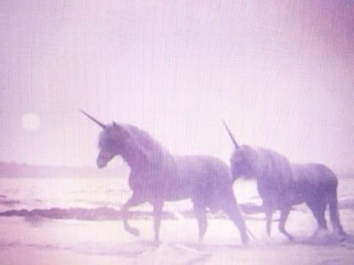 perfgrrl's tweet image. ＼(★´-｀)人(´▽｀★)／