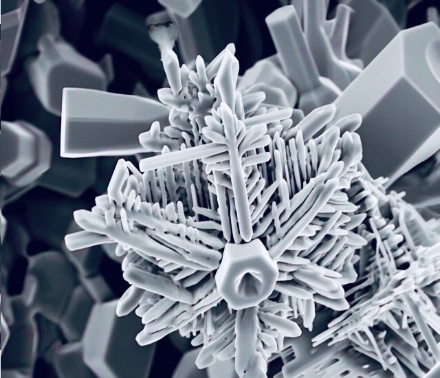 snow under the electron microscope