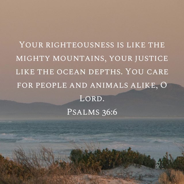 Faith Church (@jaxnaz) on Twitter photo 