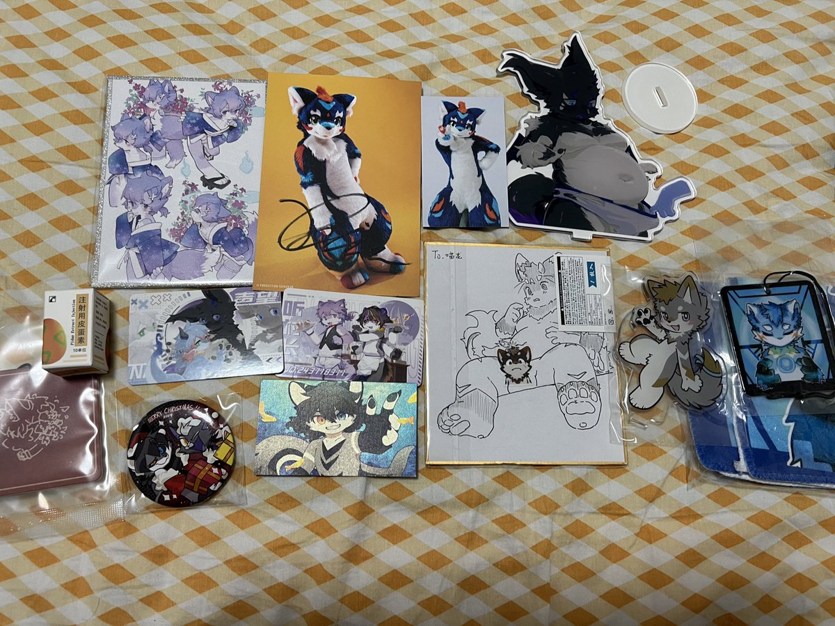 CatdragonH's tweet image. 冬聚战斗结算～追星成功～
（别问我为什么这么晚发，问就是懒）