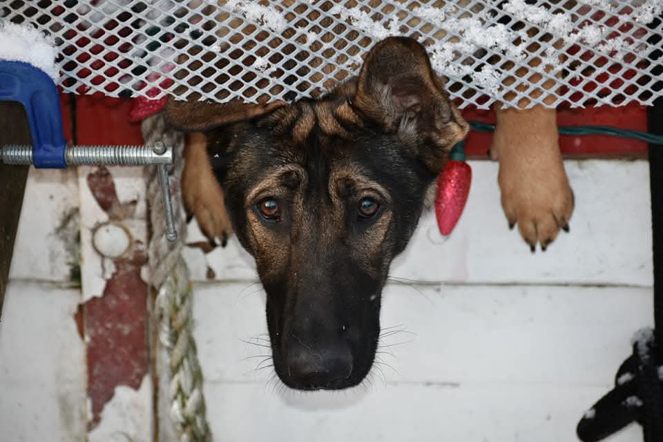 DarkAngel212 tweet media