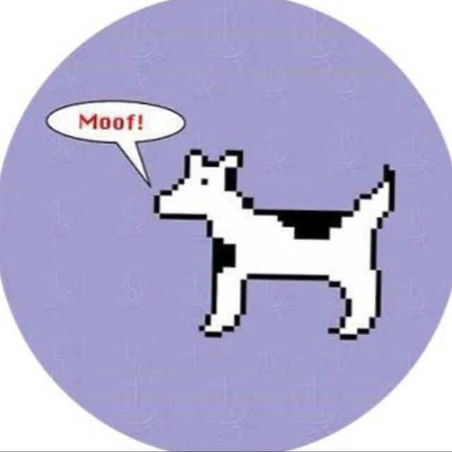 raidwitheking's tweet photo. @MonstersCoins Has to be Dogcow sending hard rn

Ca: G5ZAbsJQKKkcSiGEeuGKwEBKF6heBqvwbF5gWQynpump https://t.co/pcE74dQ7wV