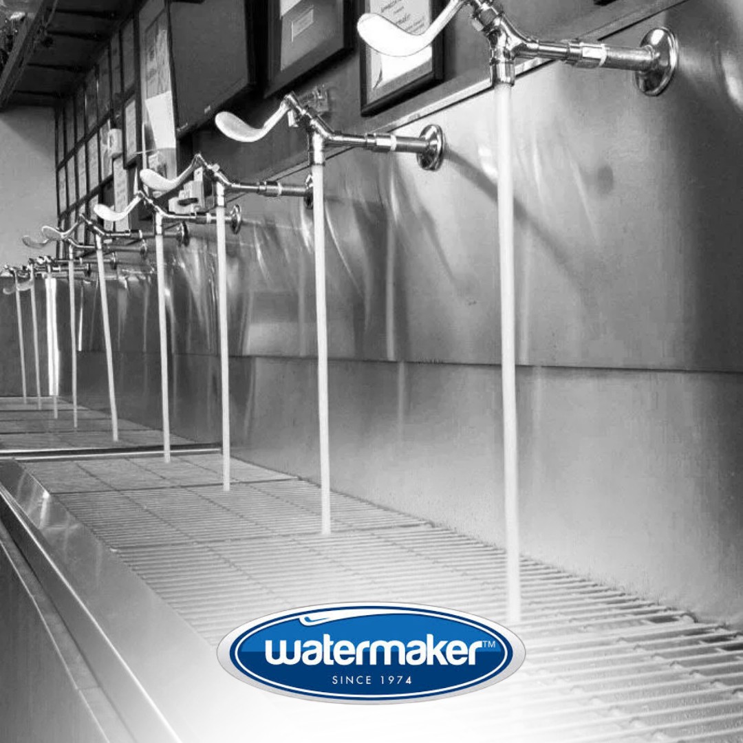 watermaker1974's tweet image. “U” Fill is a quick, easy and convenient self-service for bottled water, offered in our retail locations: 121 First St in #Orangeville &amp;amp; 935 St David St North #Fergus
For convenient U Fill water services and helpful staff #Watermaker is the team to trust.

watermaker.ca/u-fill/