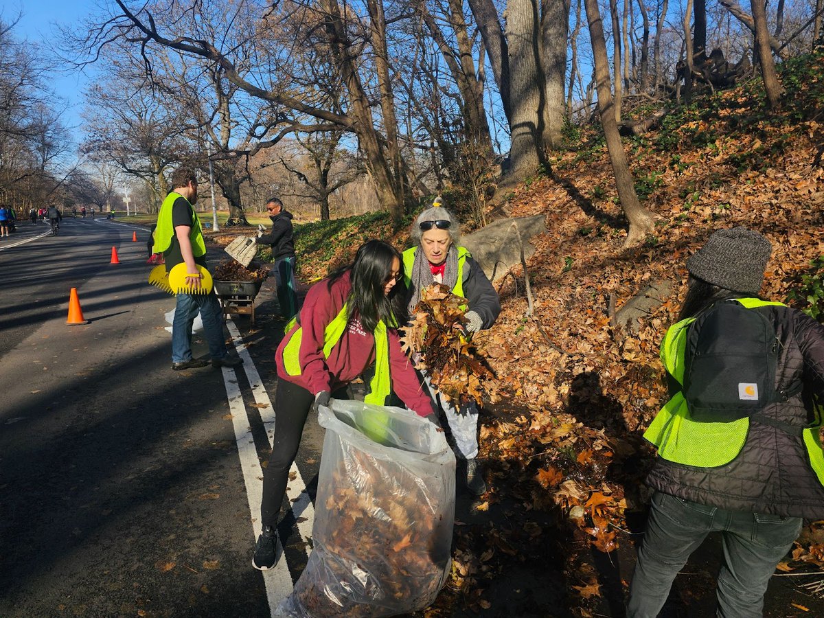 Prospect Park tweet media