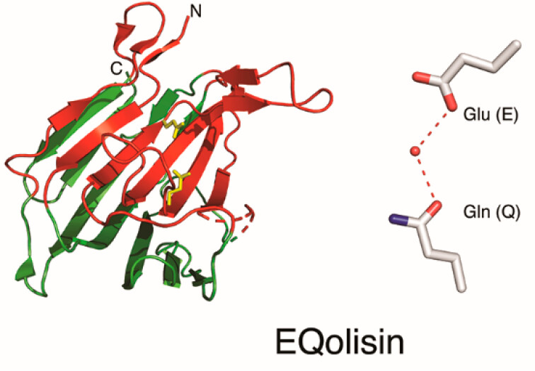 Biochemistry (@biochemistryacs) on Twitter photo Glumatic peptidases play roles in pathogenesis, celiac disease and cancer.
Oda <a href="/KIT_Kyoto/">KIT-kyoto</a> and Wlodawer <a href="/theNCI/">National Cancer Institute</a> #review the six subfamilies, exploring common features among diverse functions that could drive drug discovery.
pubs.acs.org/doi/10.1021/ac…
#tbt
#peptidase
#plant Glumatic peptidases play roles in pathogenesis, celiac disease and cancer.
Oda <a href="/KIT_Kyoto/">KIT-kyoto</a> and Wlodawer <a href="/theNCI/">National Cancer Institute</a> #review the six subfamilies, exploring common features among diverse functions that could drive drug discovery.
pubs.acs.org/doi/10.1021/ac…
#tbt
#peptidase
#plant