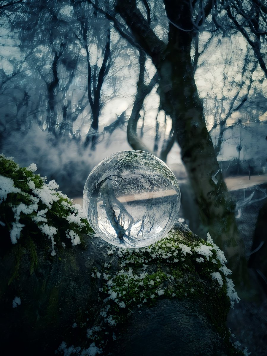 Elli_Huber__'s tweet image. Schönen Abend...♡