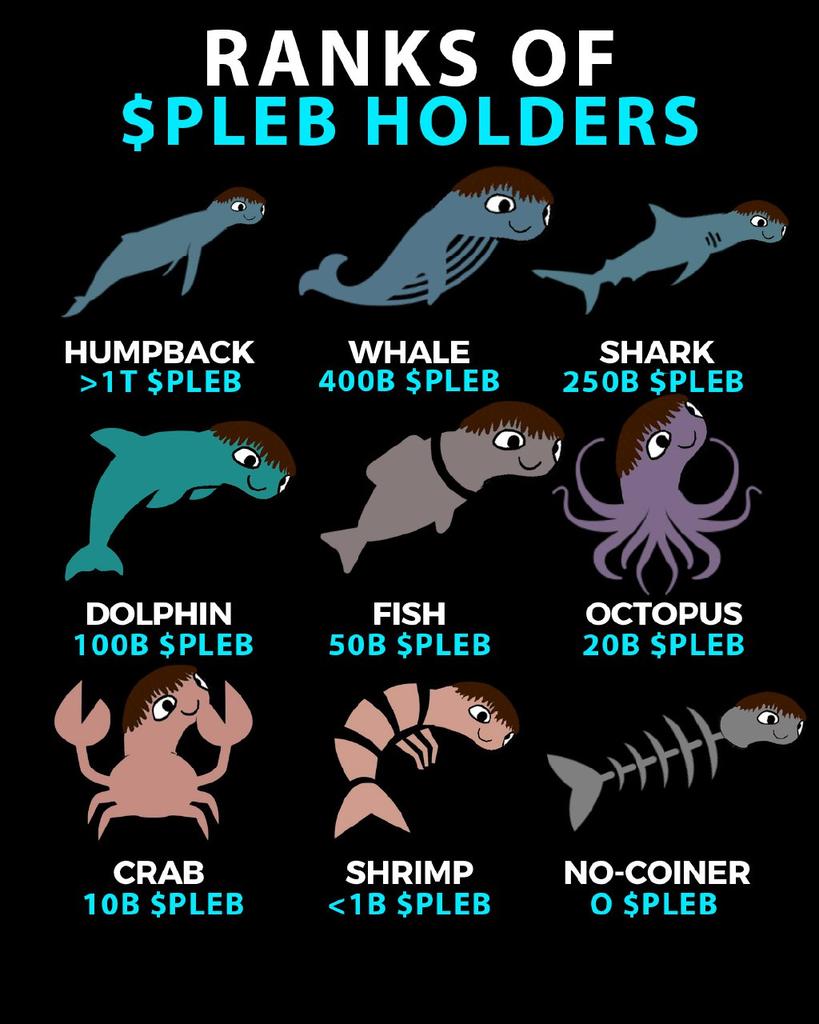 breadboy tweet media