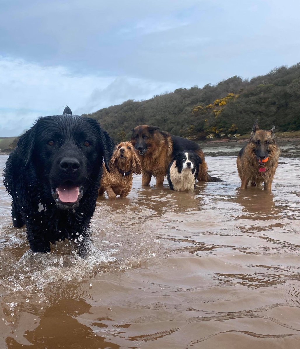 John Donoghue tweet media