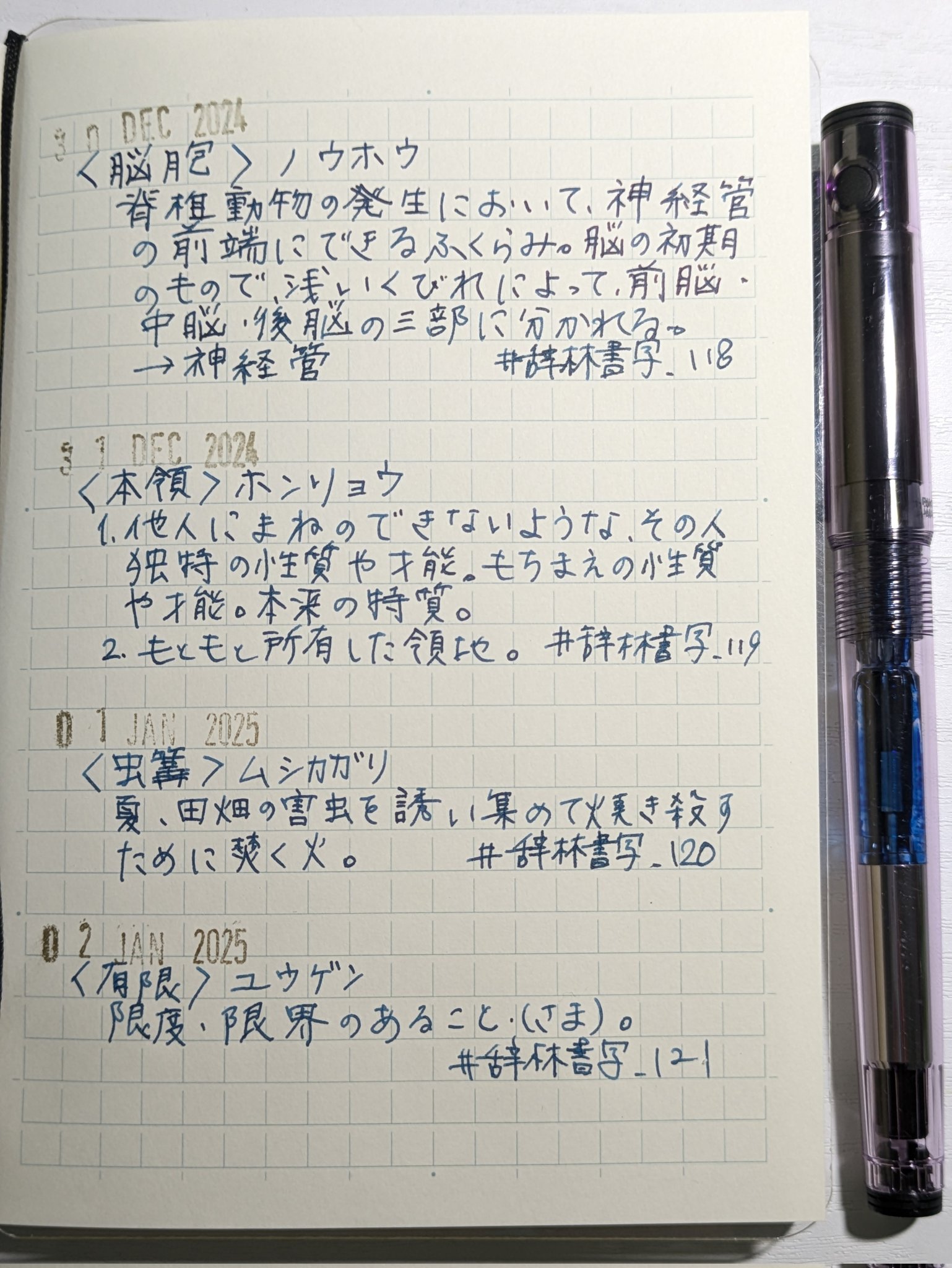 辞林書写_121 - অনুসন্ধান / X