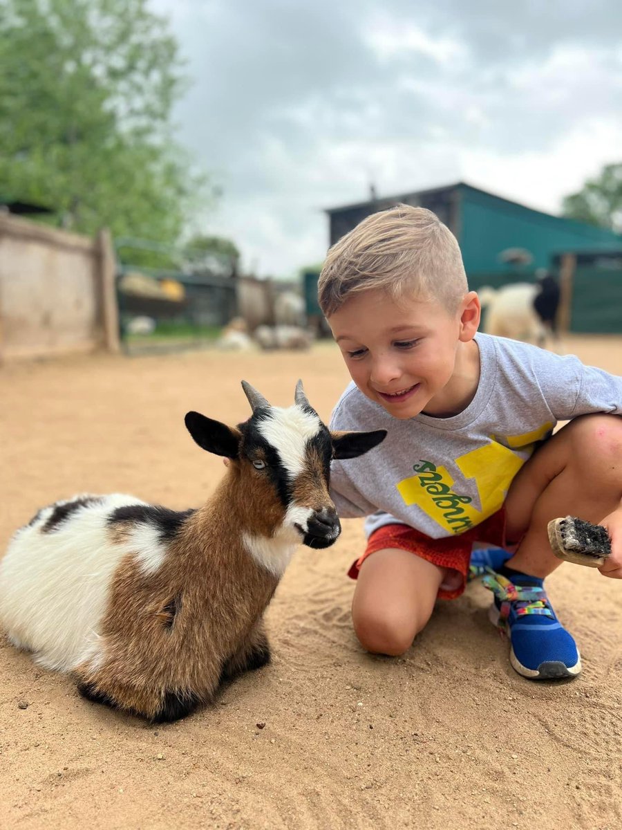 blessingtonfarm's tweet photo. Hey there, future adventurers! 🚜From March 4th through May 23rd, the opportunity to explore the wonders of nature and engage in hands-on activities is just around the corner! #fieldtrip #education #farmfun #teachers #elementary #fortbend #harriscounty #austincounty https://t.co/sr7HrMdVOq