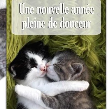 De la lumière !
Des idées !
Des étreintes !
Des baisers !
Du bon sens !
De l’humour !
Du tact !
Du panache !
Des caresses !
De la liesse !
BONNE ANNÉE 2025
(copyright pour ce joli texte @ACCieutat )