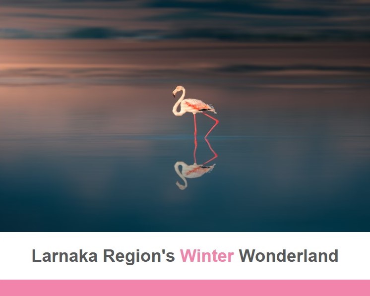 LarnakaRegion's tweet image. Have you read our winter newsletter yet? 
larnakaregion.com/newsletter/lar…

#readallaboutit  #LarnakaRegion #cyprus