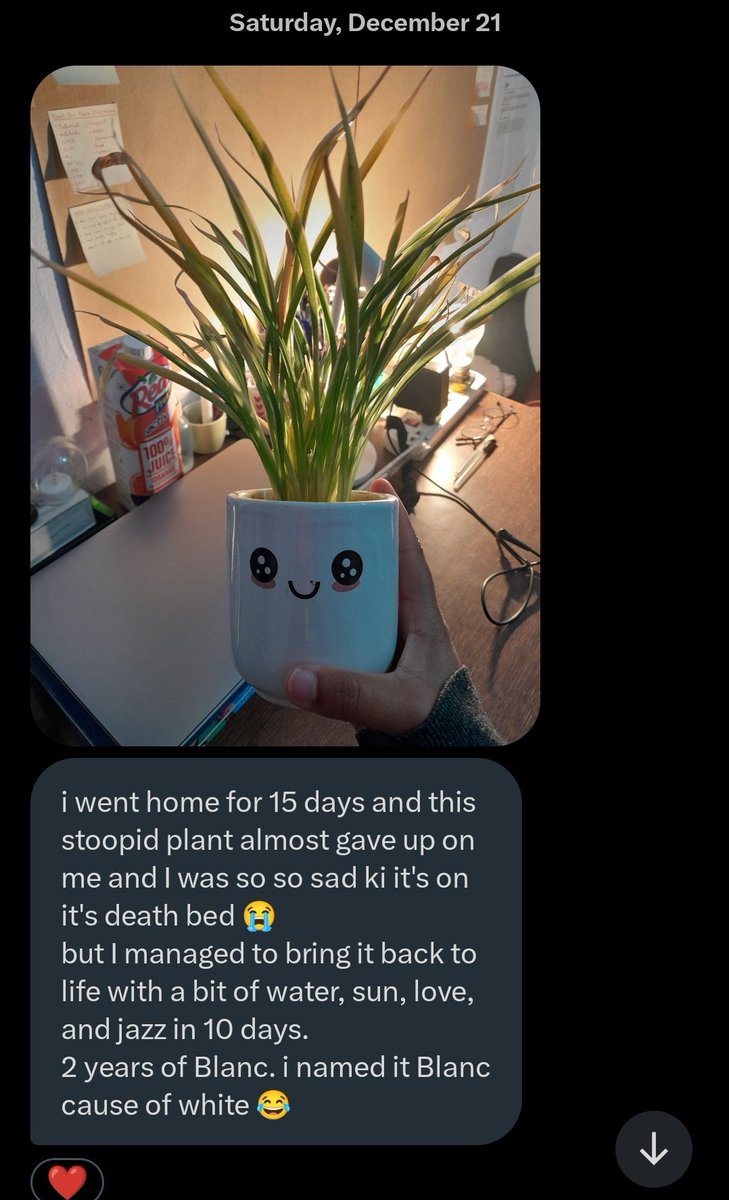 harshittytweets's tweet photo. Plant update.🌵❤️ https://t.co/oMf8KVSWLj