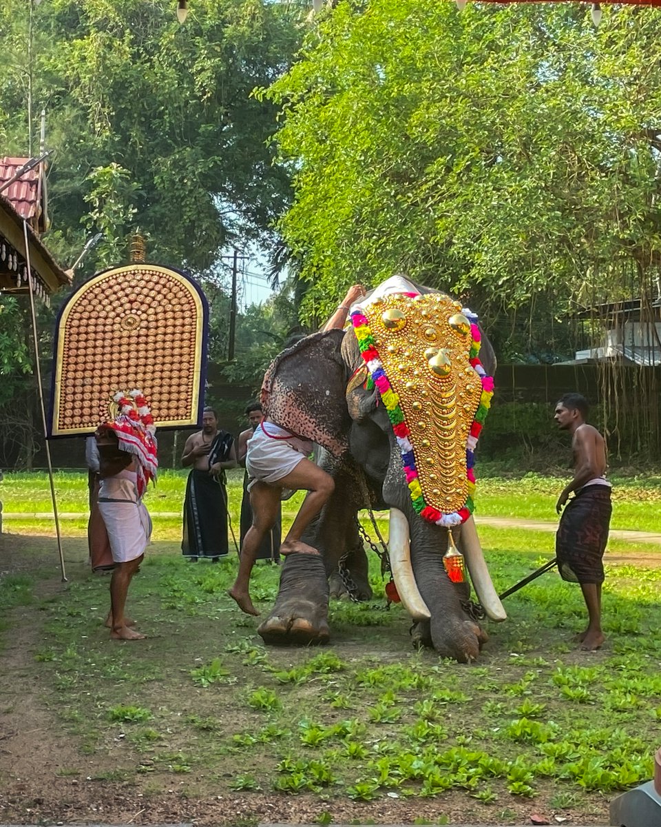 tprjayaraj's tweet photo. MOOD of FESTIVAL    

#CollectibleMoments moment on @remx_xyz 

Check out this new moment on Remx! Only available for 24 hours.           

Link below. 🔗
https://t.co/bWnFYLwxnh https://t.co/bQm16xRr4N