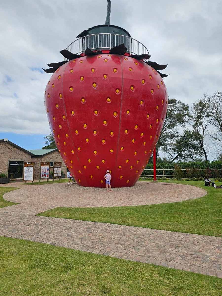 Roomys se strawberry!!!