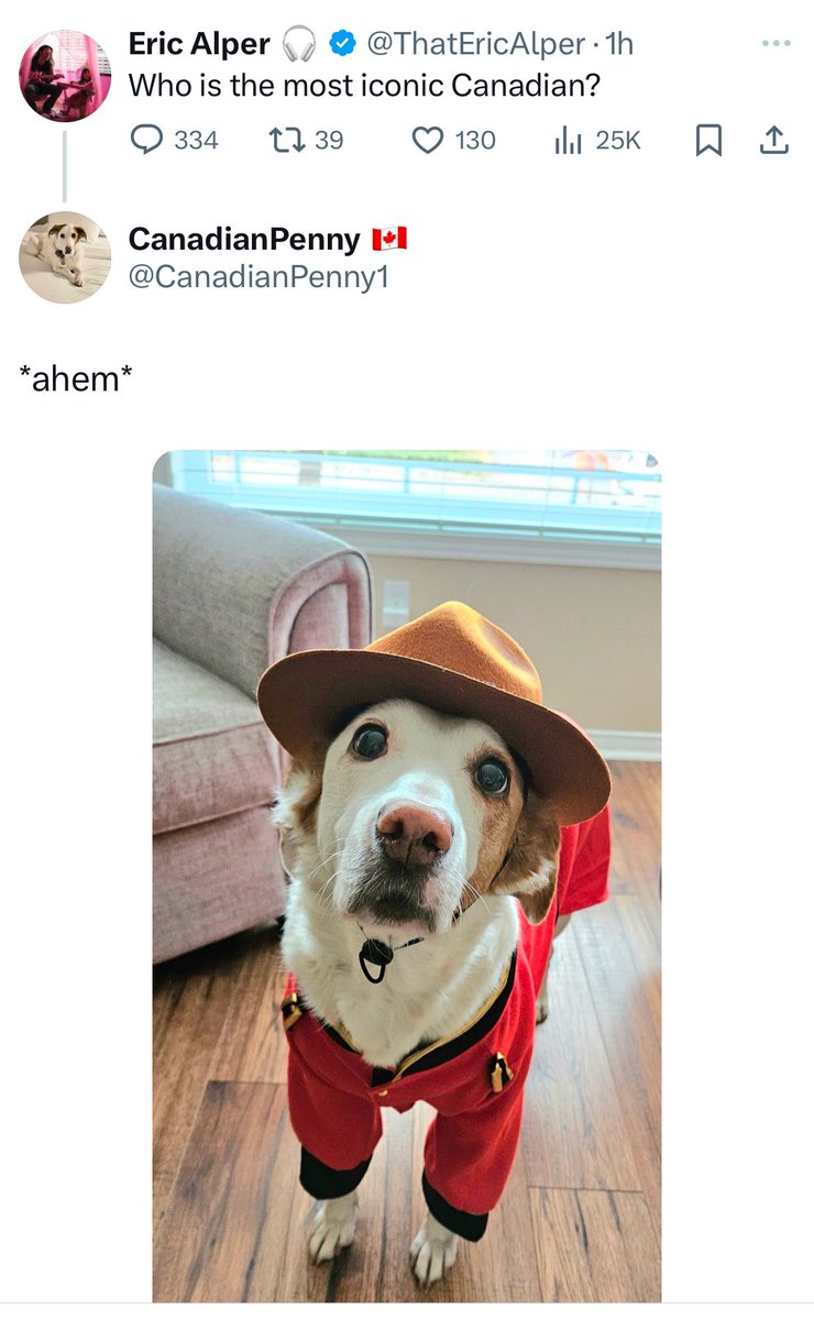 The Snoopervisor / Wilma (@wilmabenton19) on Twitter photo Twitter friends - please reply and retweet to let <a href="/ThatEricAlper/">Eric Alper 🎧</a> know the one and only @Canadian Penny1 is the most iconic Canadian!
#dogsofX #dogsoftwitter #CatsOfX Twitter friends - please reply and retweet to let <a href="/ThatEricAlper/">Eric Alper 🎧</a> know the one and only @Canadian Penny1 is the most iconic Canadian!
#dogsofX #dogsoftwitter #CatsOfX