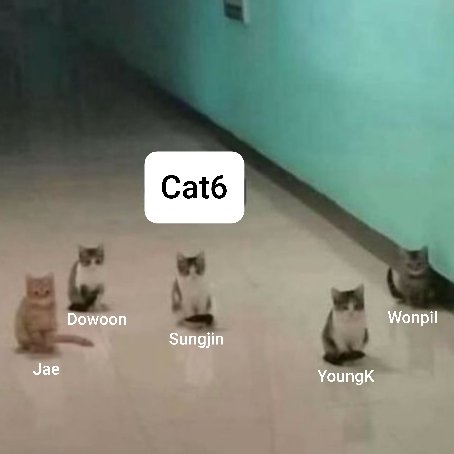 They're performing You Were Meow