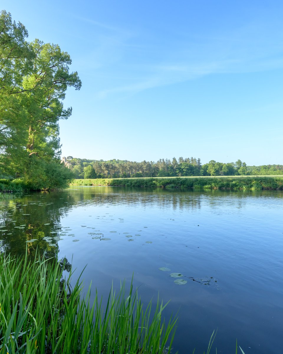 🇪🇺 L’Union Européenne est un soutien majeur pour la transition écologique de la Bretagne🌿

Depuis 2023, 4 nouveaux projets portés par la Région visant à diminuer la vulnérabilité de la Bretagne face aux risques climatiques et à préserver la biodiversité ont été cofinancés par