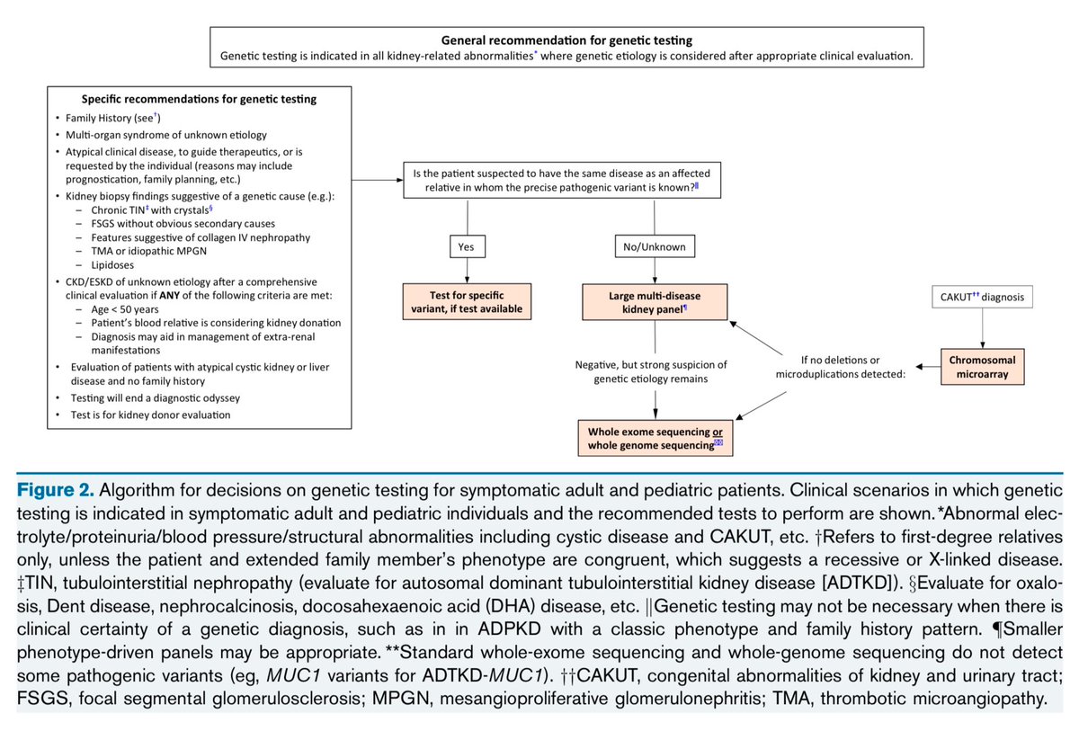 🔬 Genetic testing in kidney disease: Who, when, and how? 🧬 

This algorithm simplifies decision-making for symptomatic adults &amp; kids. 

A must-know for nephrologists! 🌟

🔗🆓doi.org/10.1053/j.ajkd…

#Nephrology #Genetics #PrecisionMedicine #AJKD
